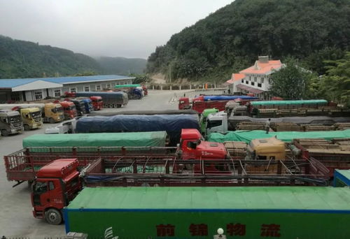 關(guān)累港口聯(lián)合黨工委 以國門黨建固邊興邊 促邊境發(fā)展繁榮穩(wěn)定 助力貨物進出口騰飛